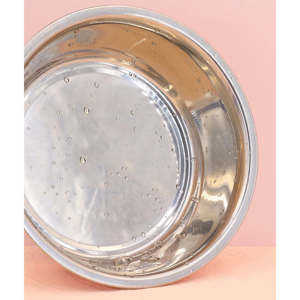 Stainless Steel Pet Bowl
