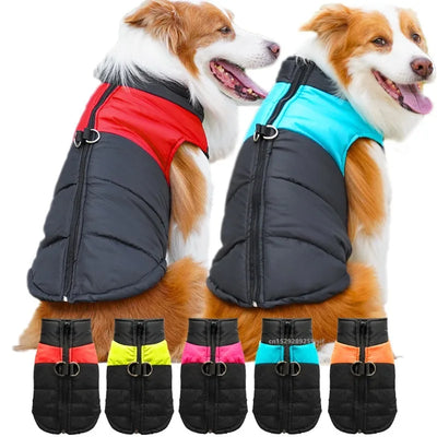 Padded Zipper Jacket