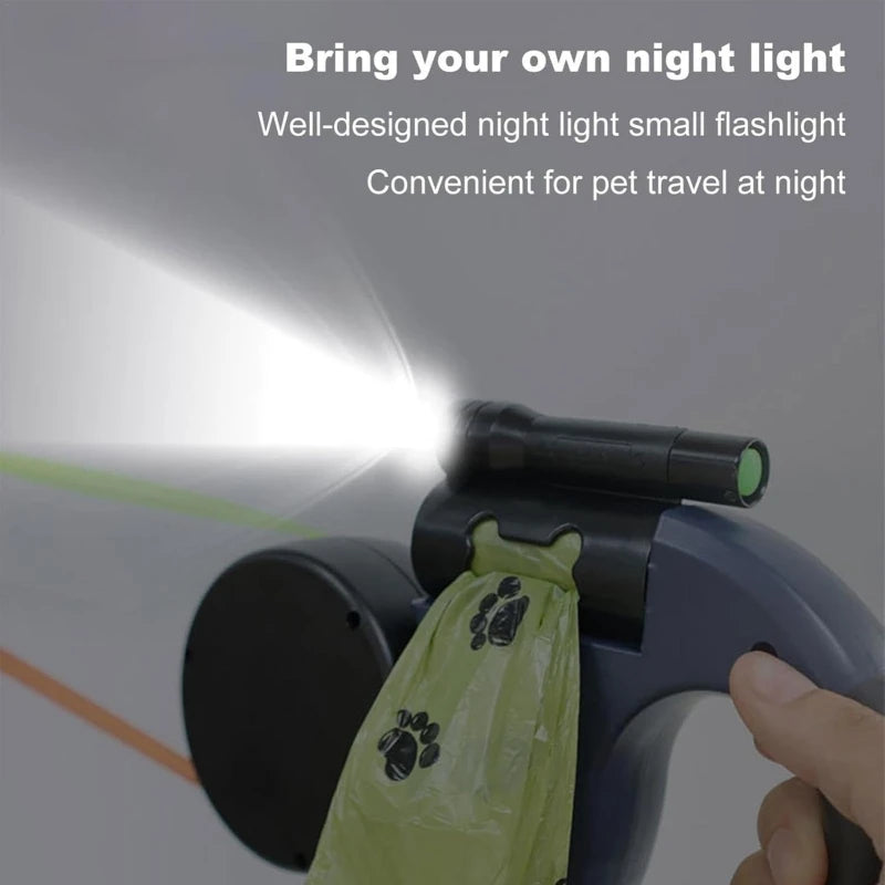 Shine Stride Leash