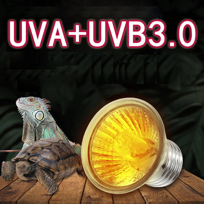 Heat Haven Basking Bulb