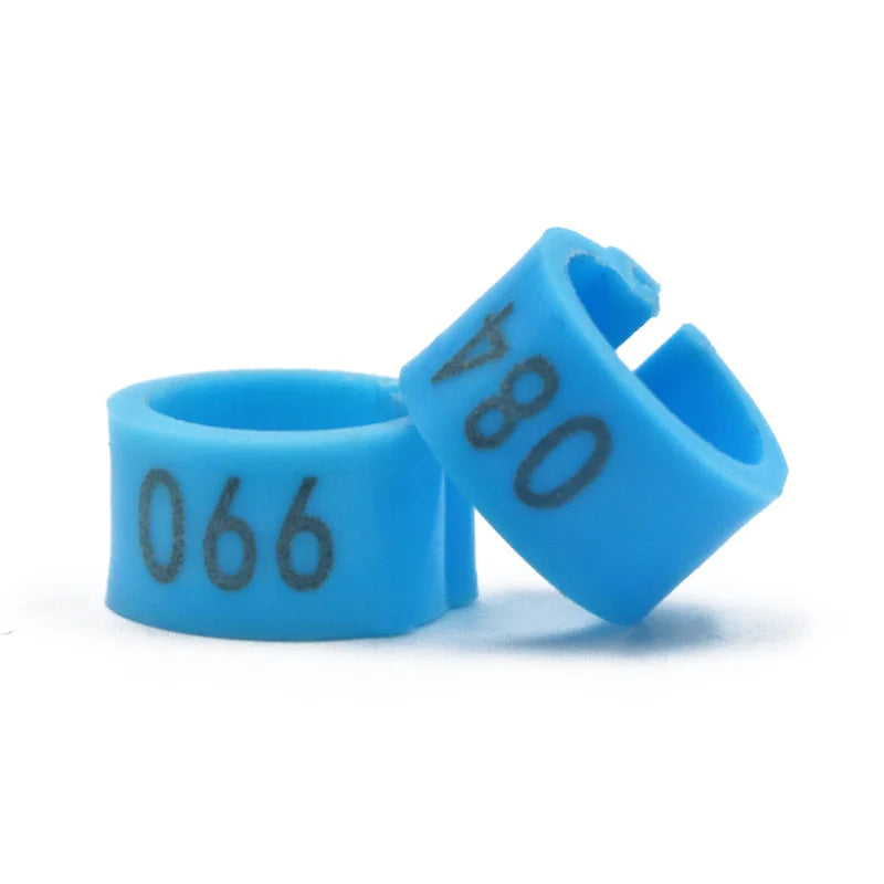 Colorful Foot Rings with Text