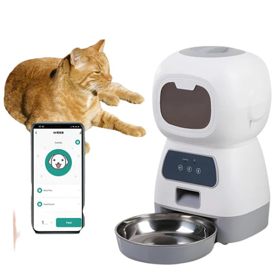 Smart Feeder for Cats
