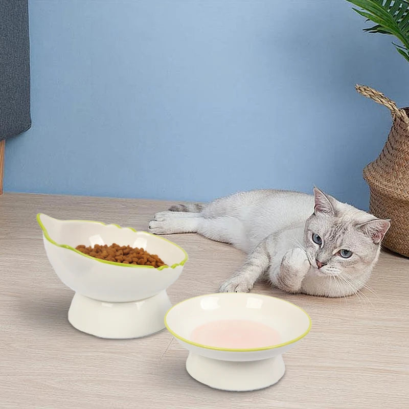 Stable Feeding Cat Bowl