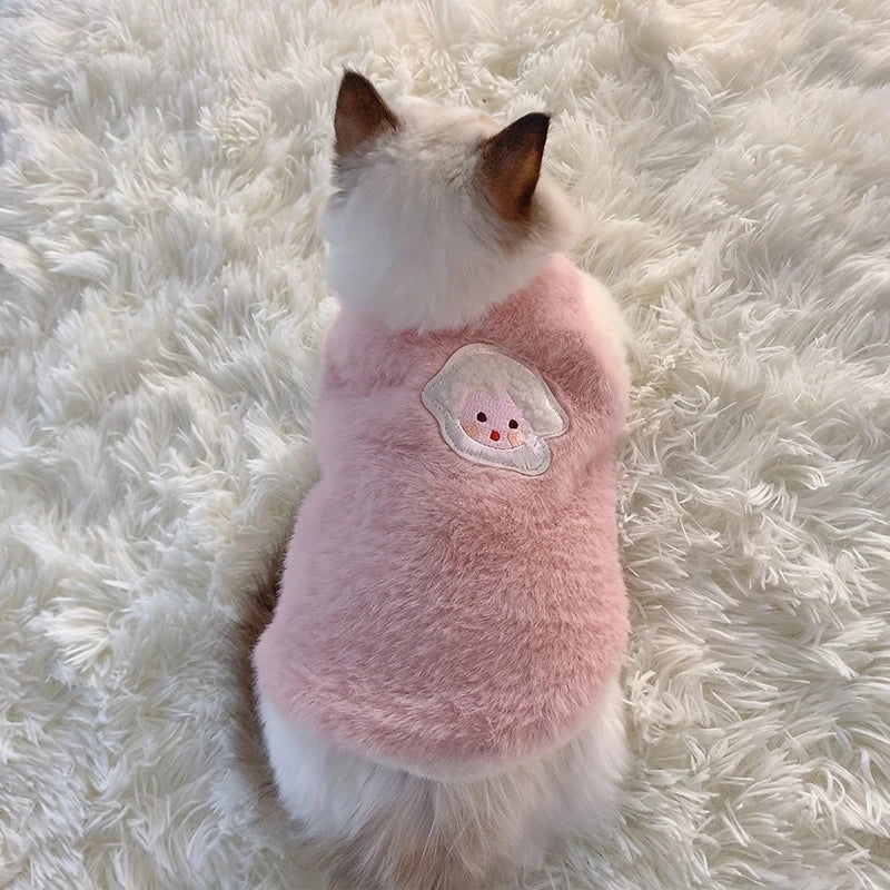 Winter Clothes for Cats
