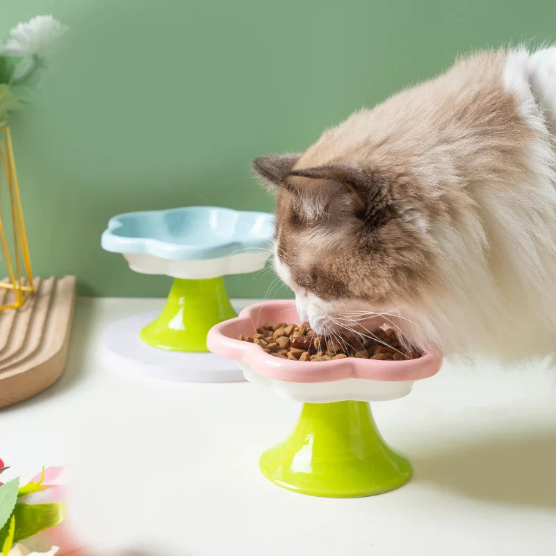Ceramic Raised Cat Bowl