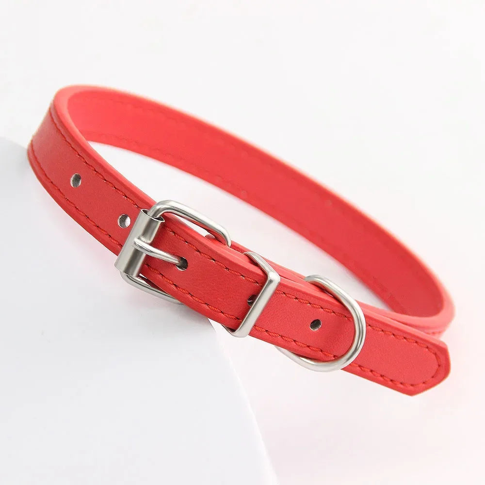 Color Splash Cat Collar