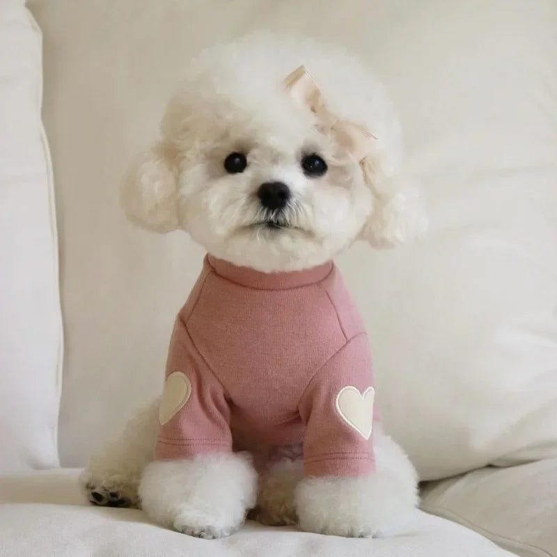 Warm Paw Cozy Outfit