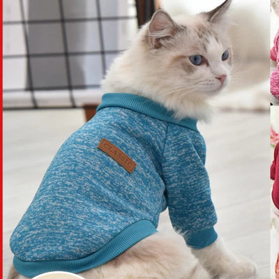 Comfy & Cute Cat Clothes