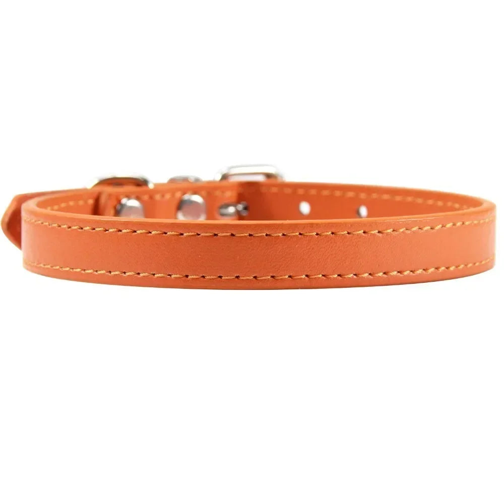 Color Splash Cat Collar