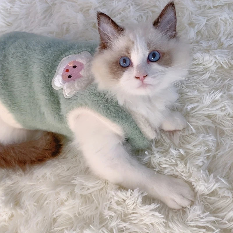 Winter Clothes for Cats