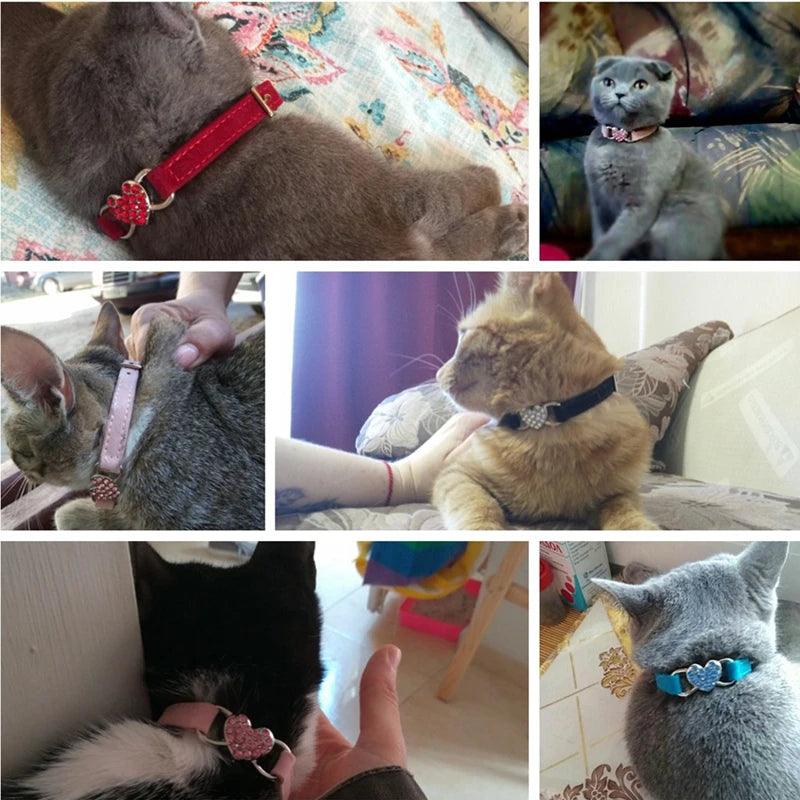 Charm and Bell Cat Collar