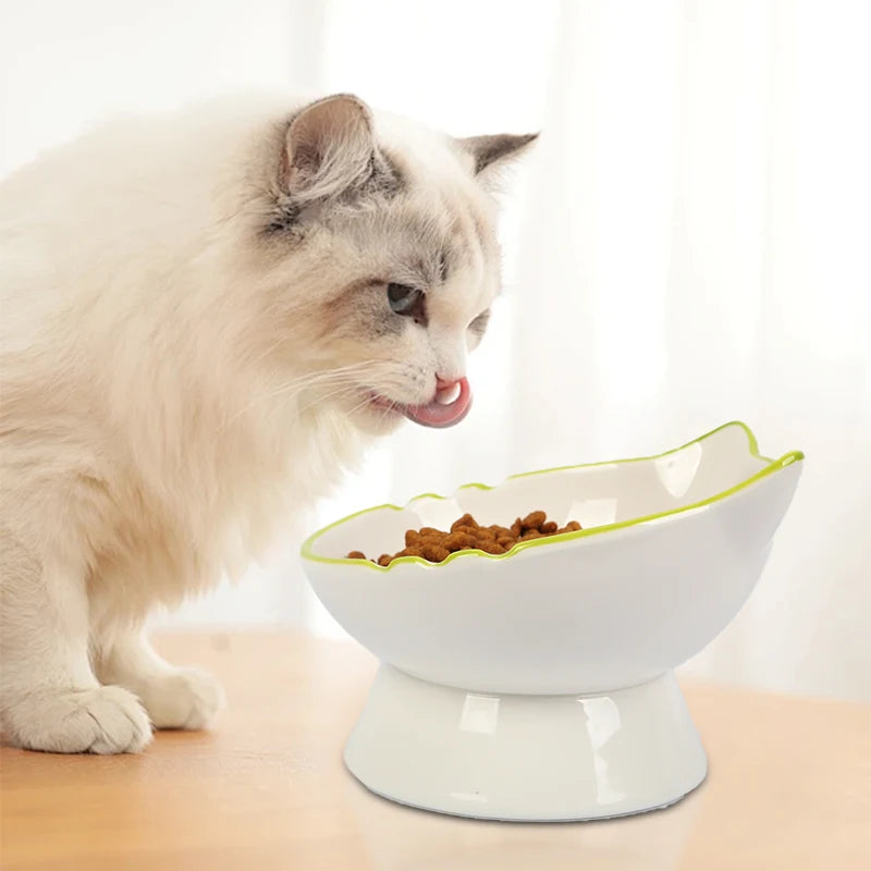 Stable Feeding Cat Bowl