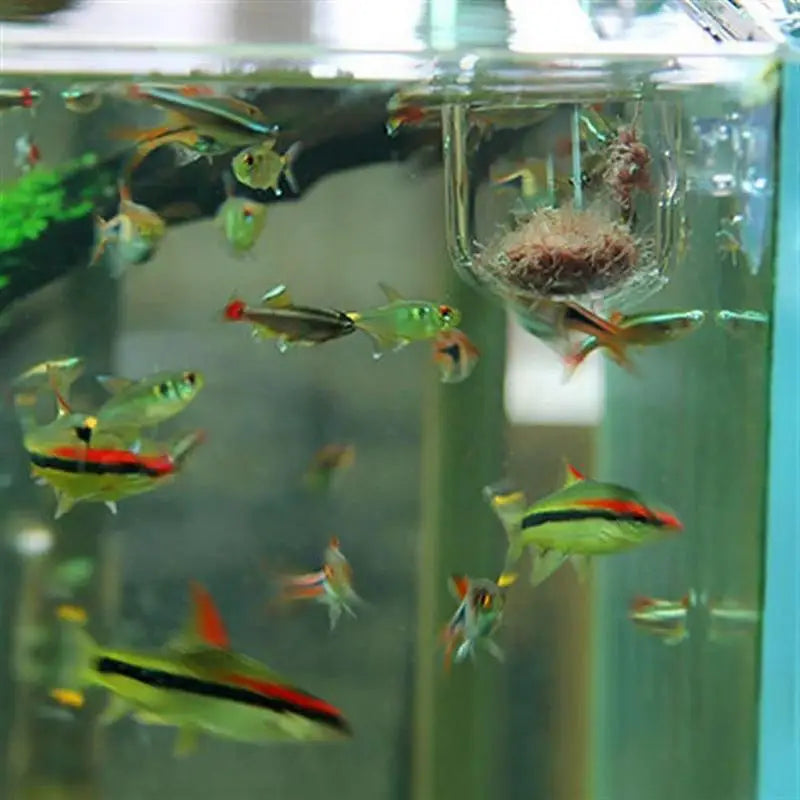 SuctionLeaf Aquarium Cup