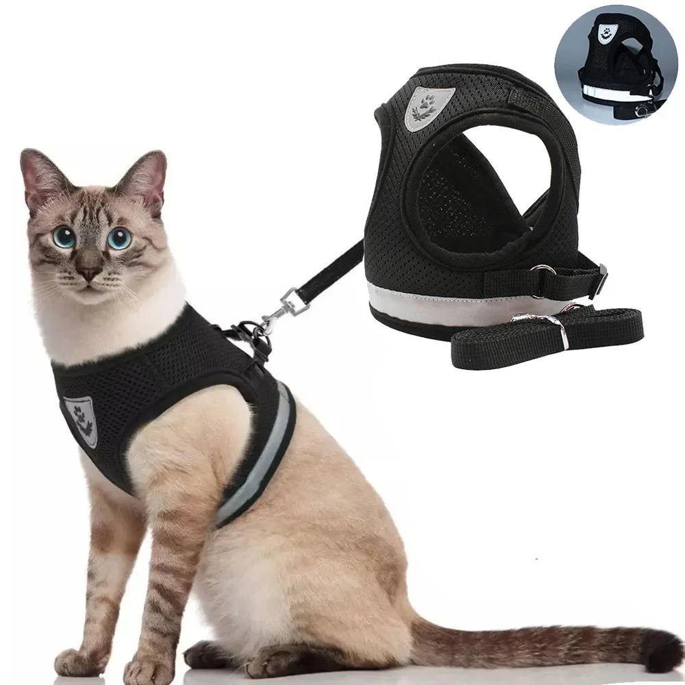 Cat Harness & Leash Set