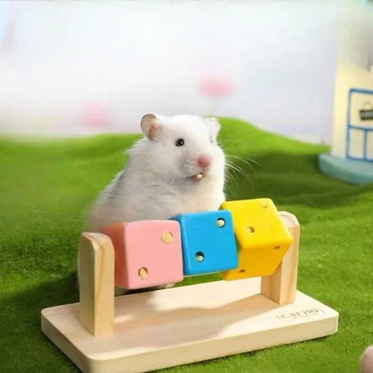 Fun Rubik's Cube Hamster Toy