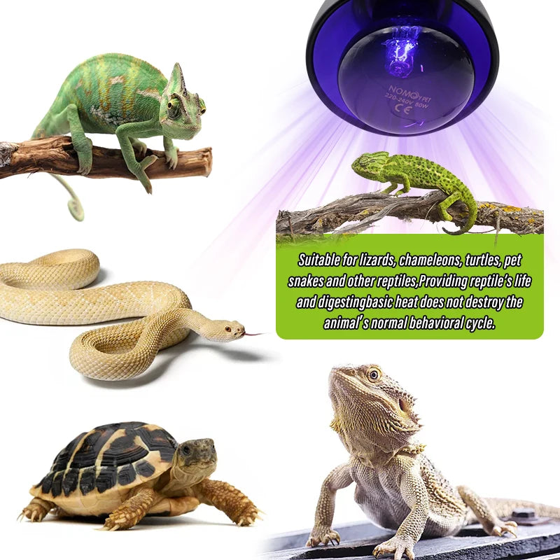 Pet Heating Night Lamp
