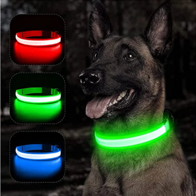 USB Rechargeable LED Collar