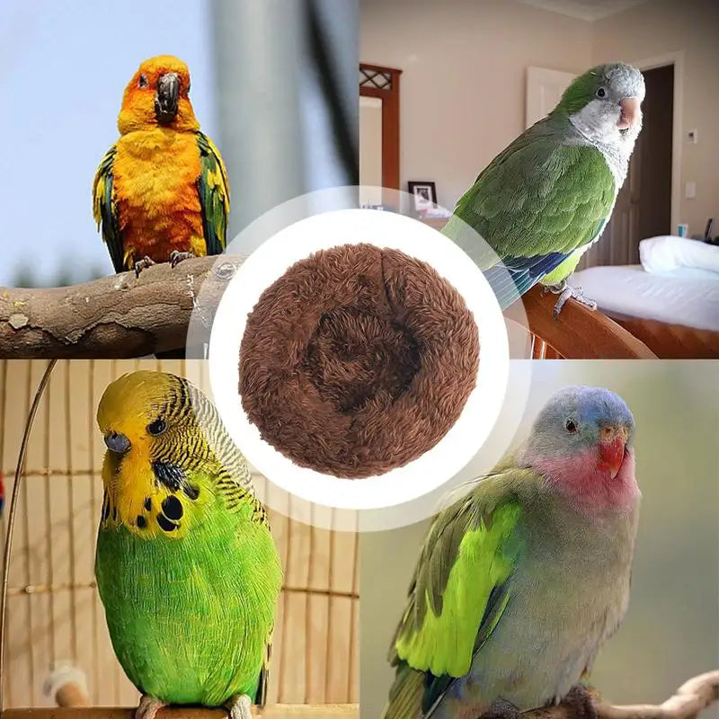 عش طائر كوكوكوتون