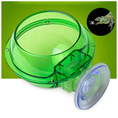 Green Reptile Feeding Bowl