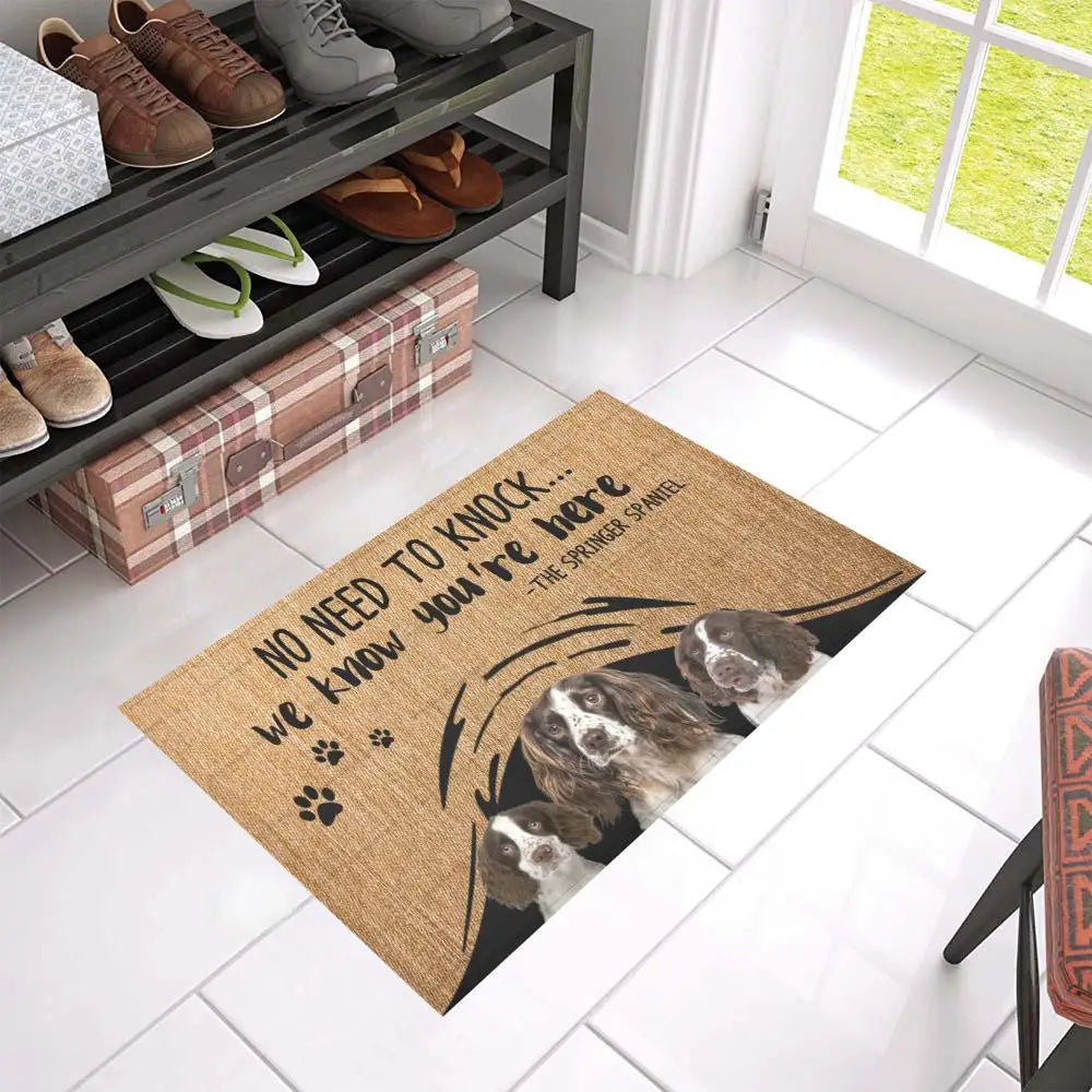 Non-Slip pet Doormat