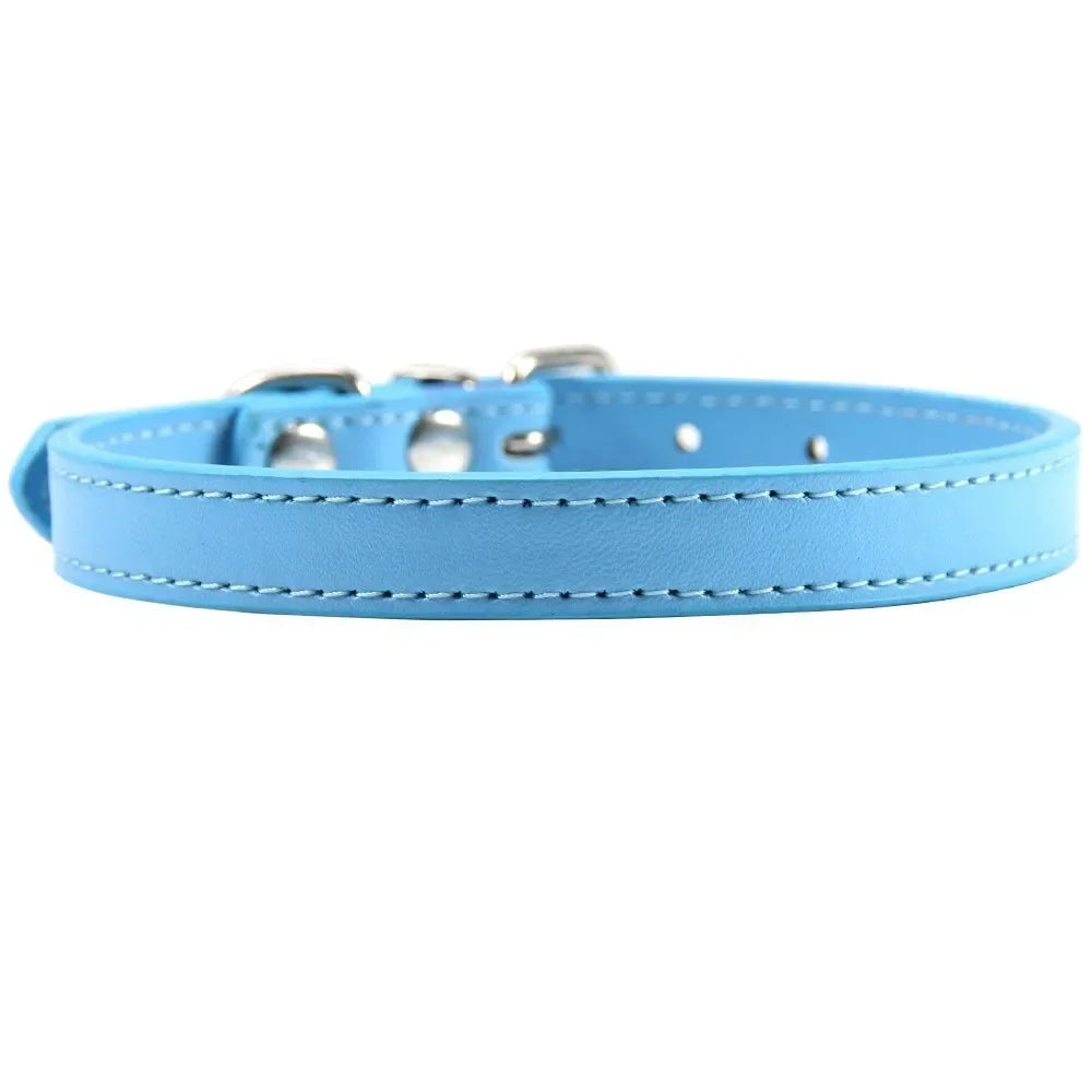 Color Splash Cat Collar