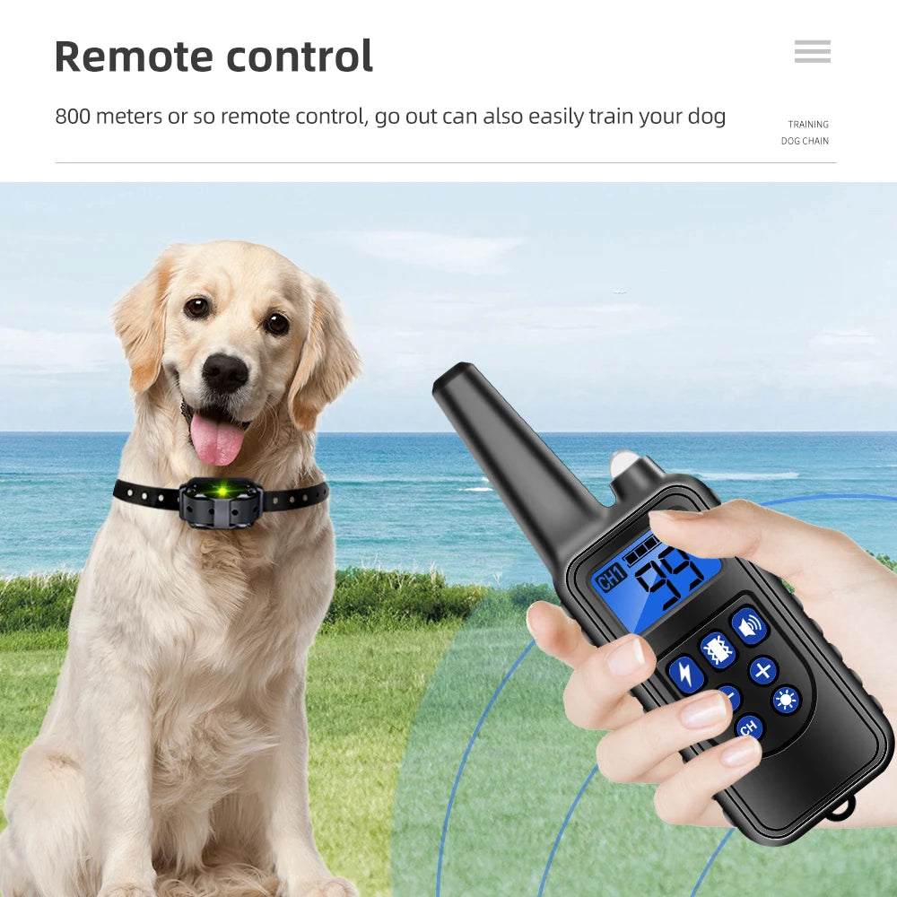 Bark Control Training Collar