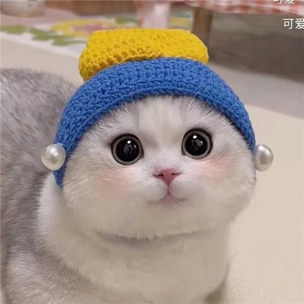 Cute Refined Cat Hat