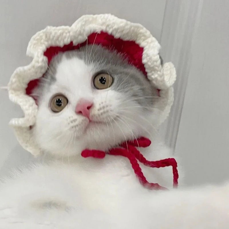 Cute Refined Cat Hat