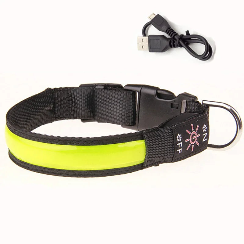 Glowing Dog Collar LED