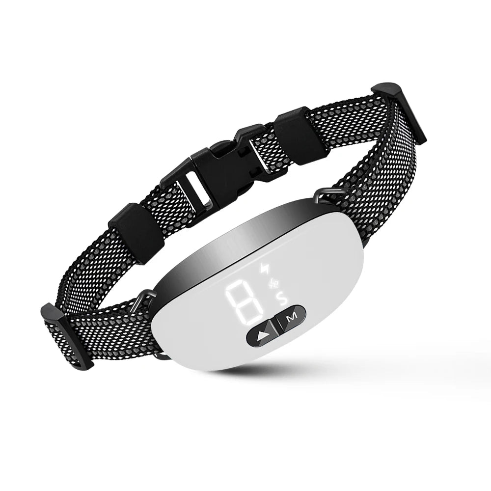 Adjustable Dog Collar