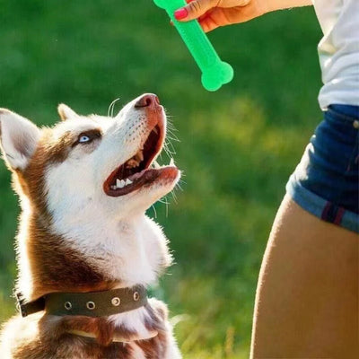 Pet Dog Chew Toys