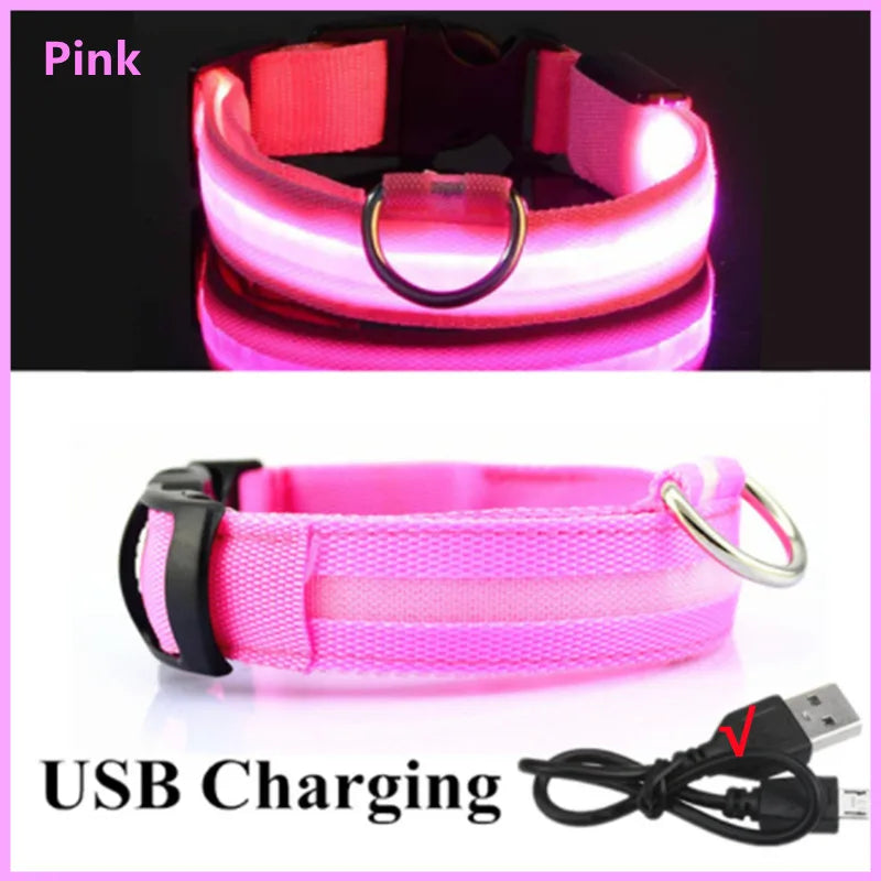 USB Rechargeable LED Collar