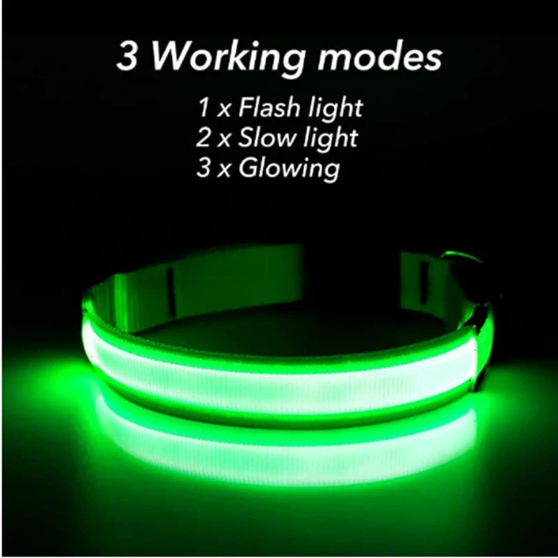 USB Rechargeable LED Collar