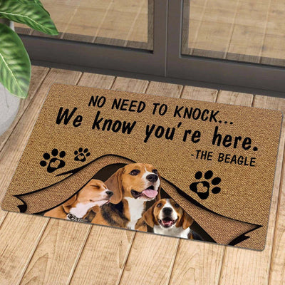 Non-Slip pet Doormat