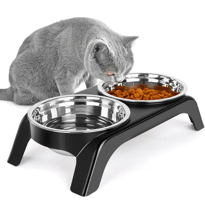 Elevated Cat Bowl Set