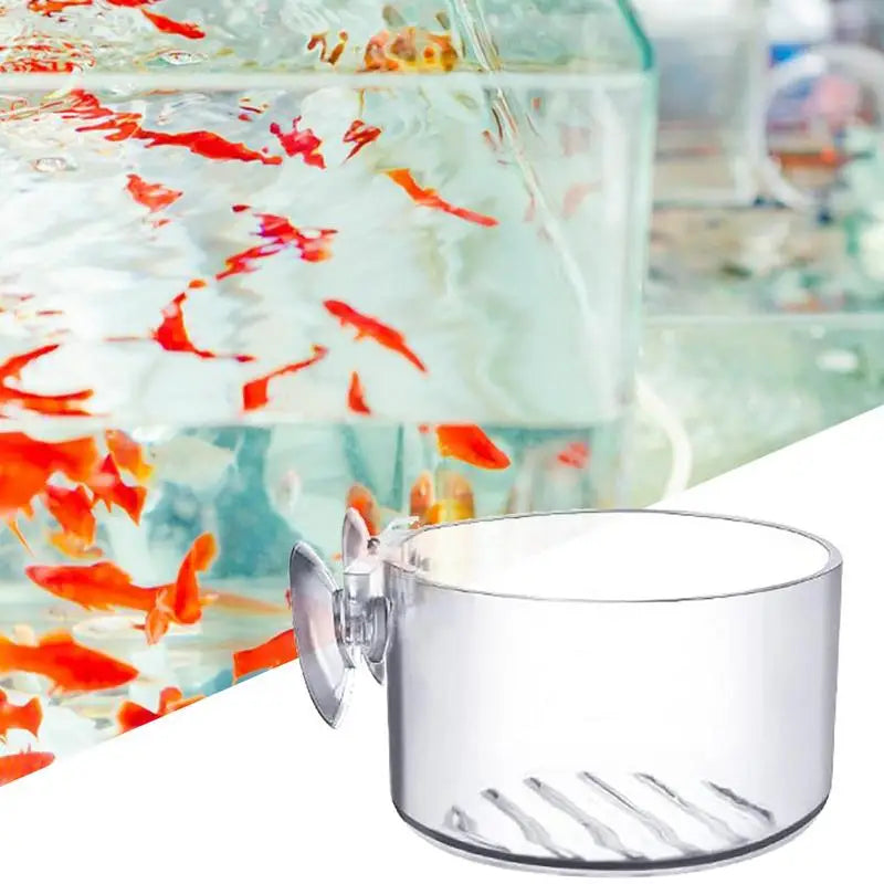 SuctionLeaf Aquarium Cup