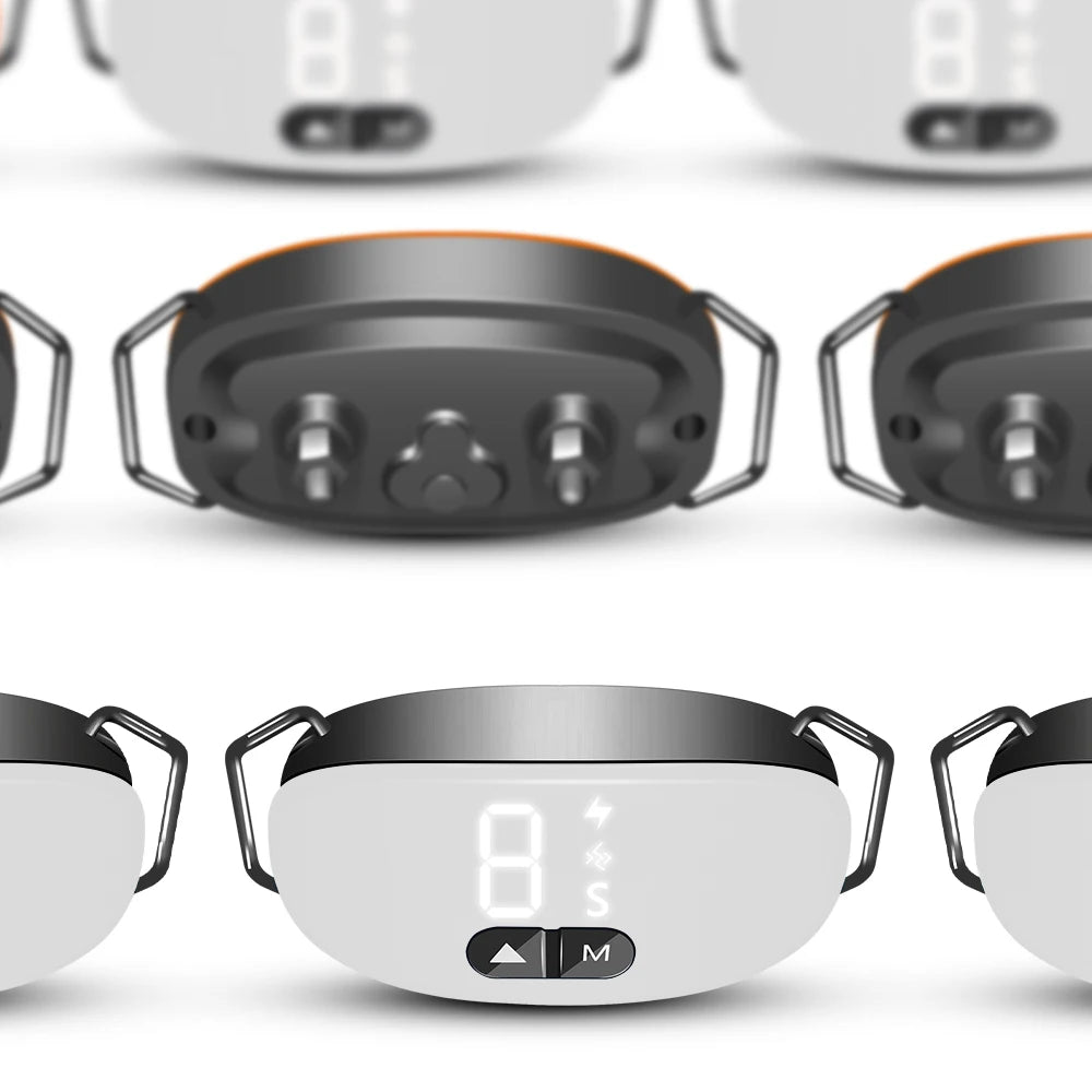 Adjustable Dog Collar