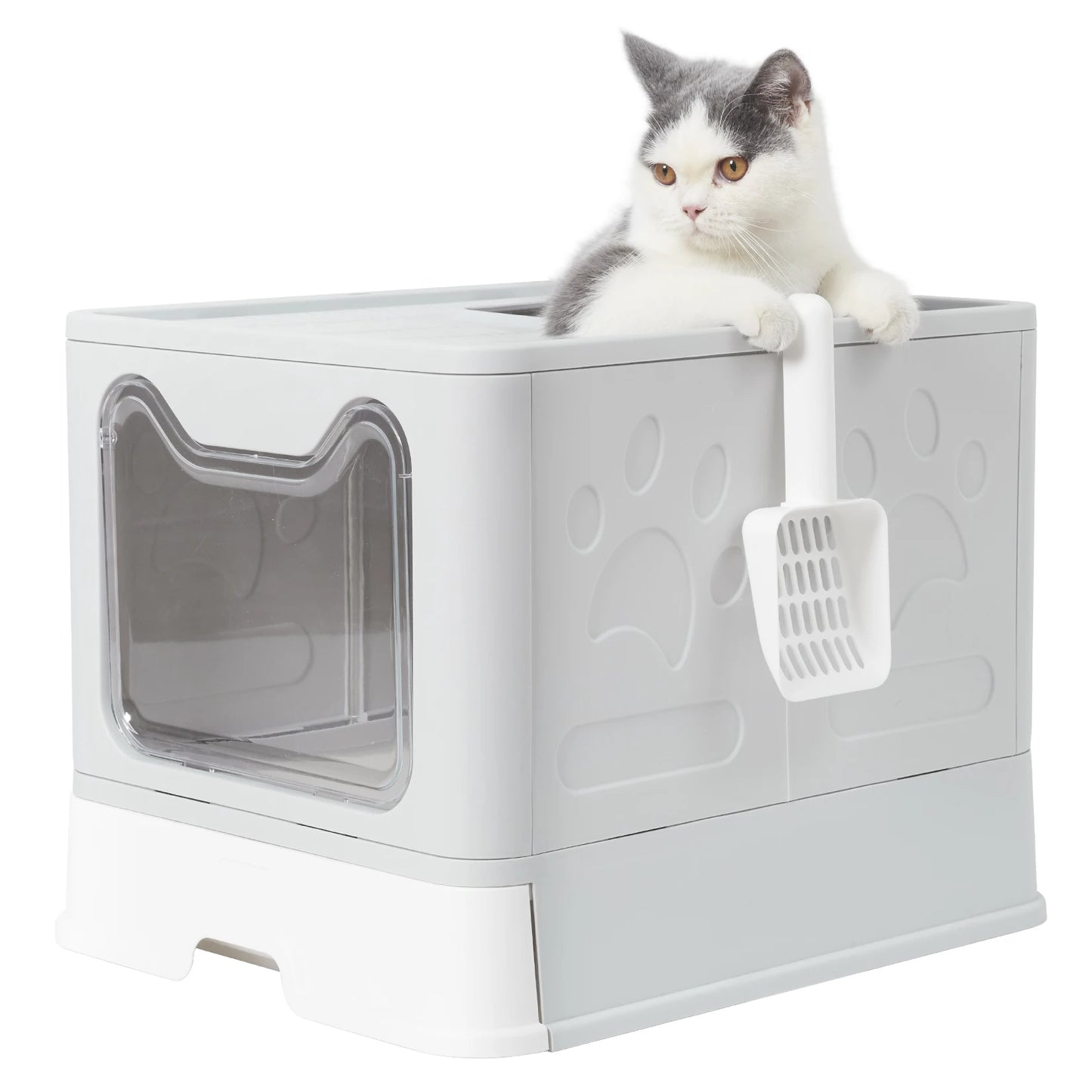 PawFold Litter Box