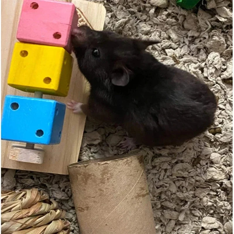 Fun Rubik's Cube Hamster Toy