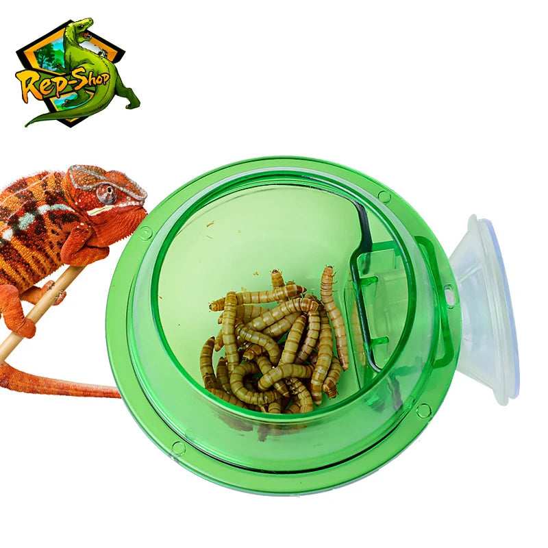 Green Reptile Feeding Bowl
