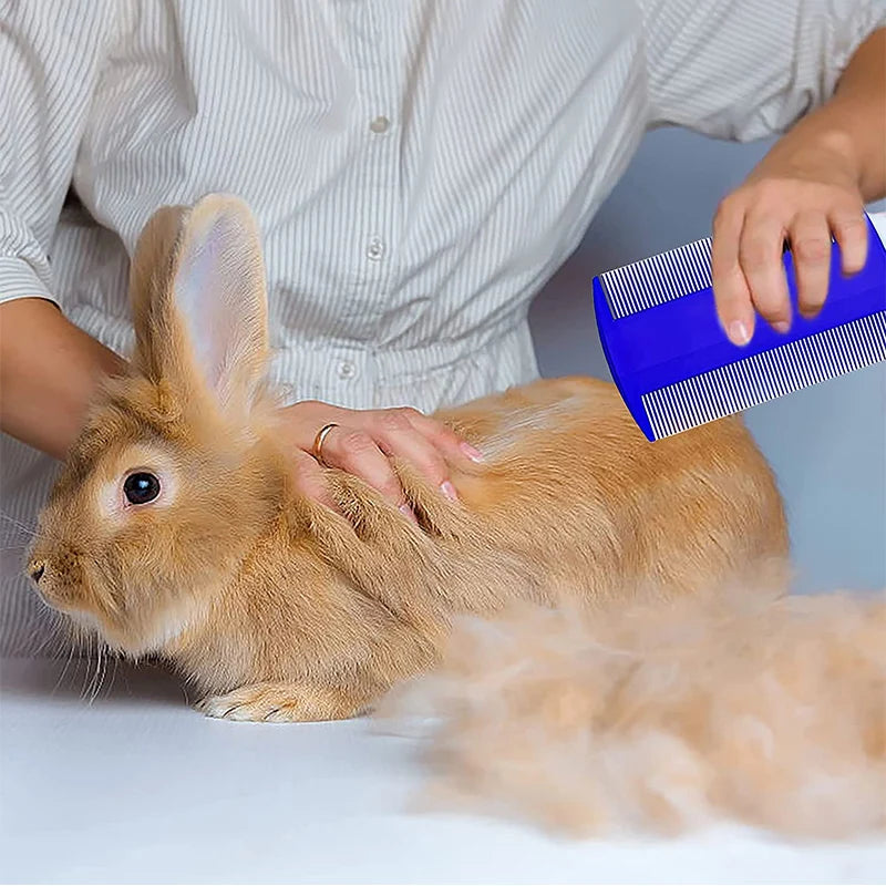 Complete Rabbit Grooming Set