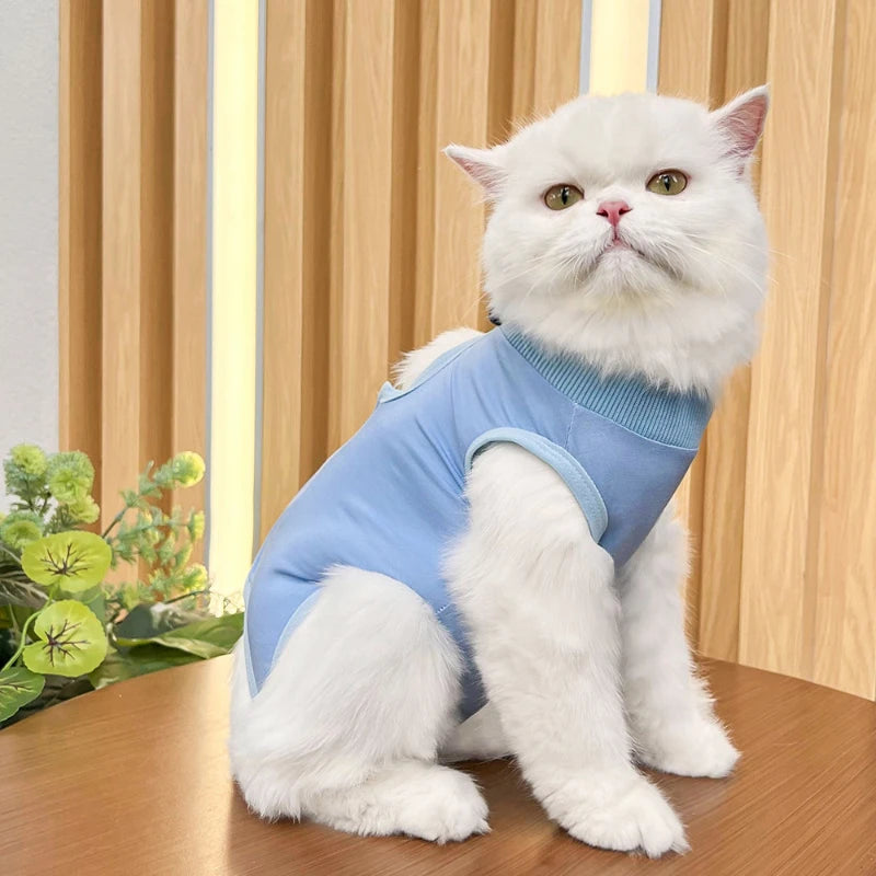 Cats Surgery Recovery Suit