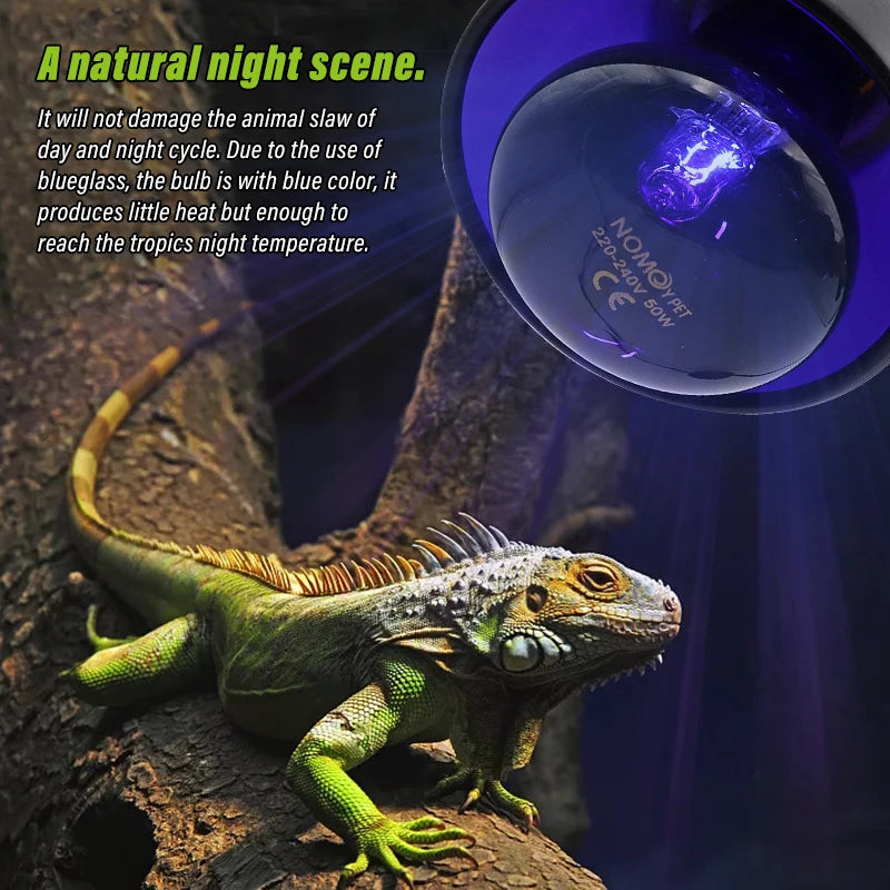 Pet Heating Night Lamp