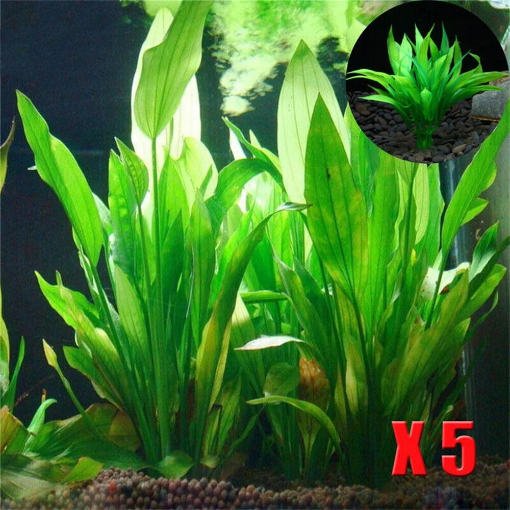 Artificial Waterweed Plants