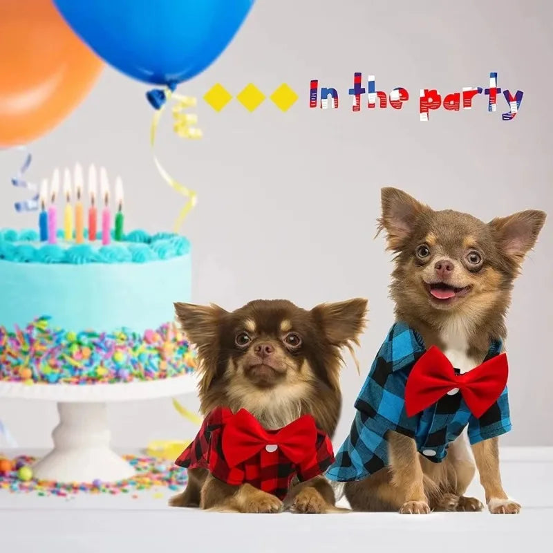 Fancy Fur Dog Dress