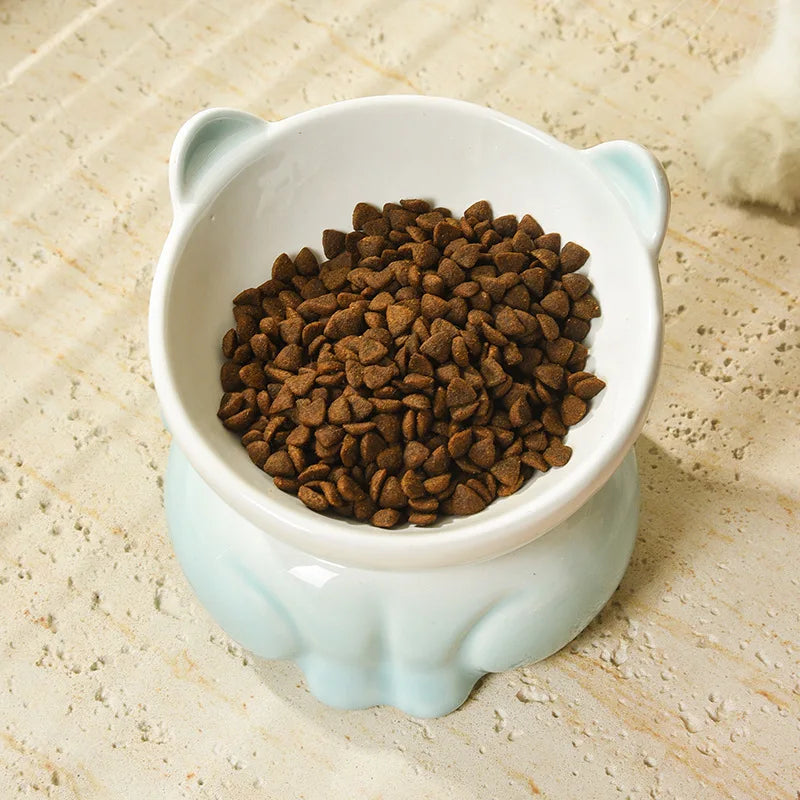 Neck Support Cat Bowl