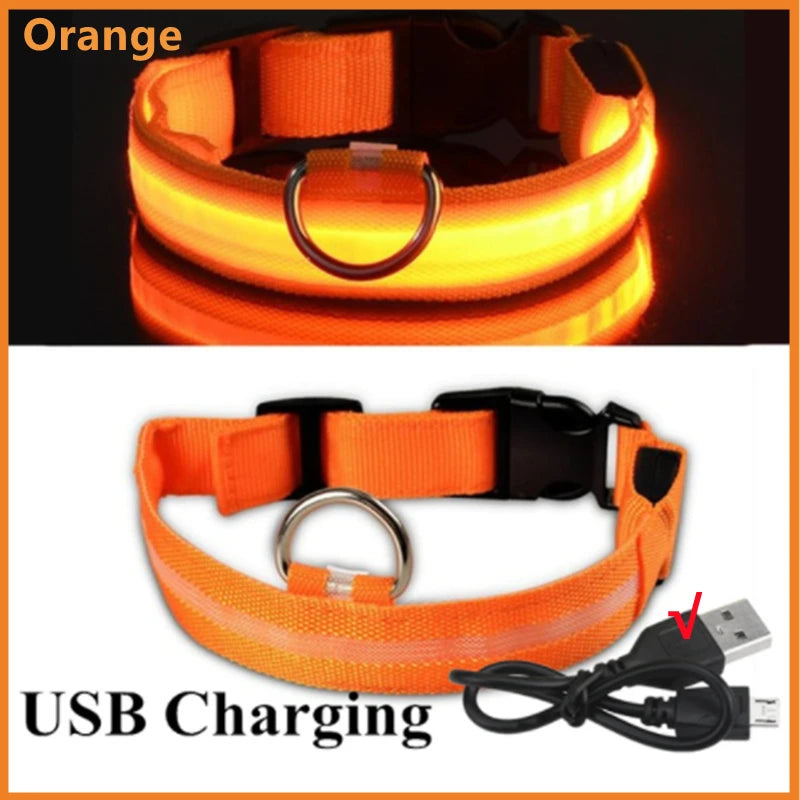 USB Rechargeable LED Collar