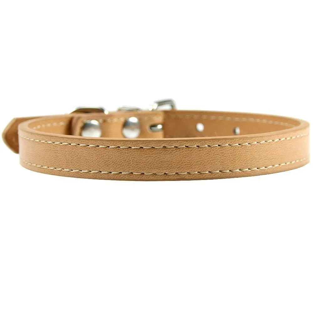 Color Splash Cat Collar