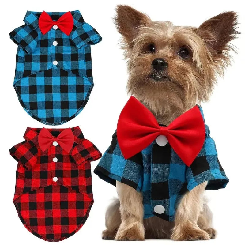 Fancy Fur Dog Dress