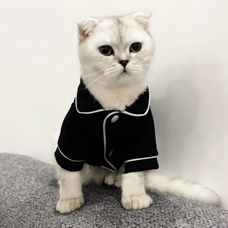 Fun Festive Wear for Cats